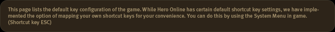This page lists the default key configuration of the game. While Hero Online has certain default shortcut key settings, we have implemented the option of mapping your own shortcut keys for your convenience. You can do this by using the System Menu in game. (Shortcut key ESC)
